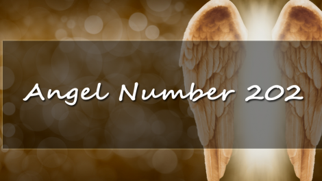angel number 202