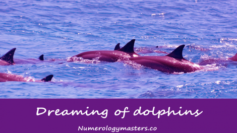 Dreaming of dolphins