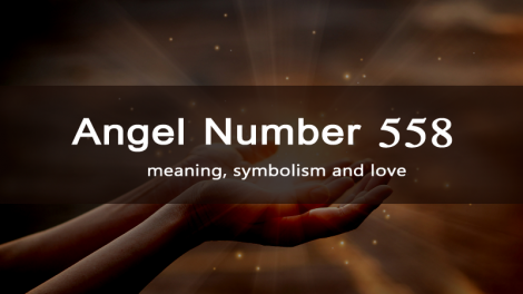 angel number 558 meaning